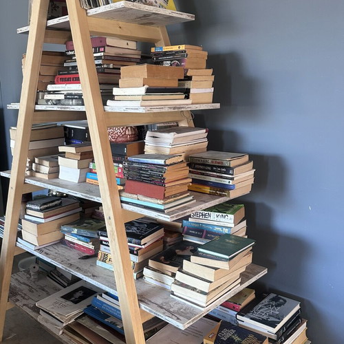 Custom handmade bookcase with wooden ladder and removable shelves, used