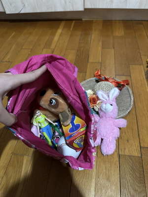 Bag with toys for girls used, dolls Barbie Harry Potter