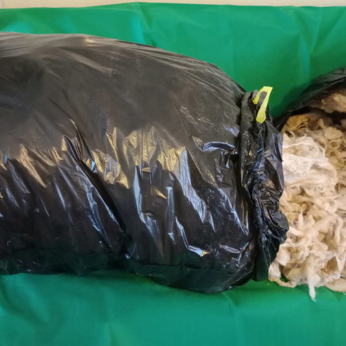 Sheep wool new, unprocessed and washed for knitting