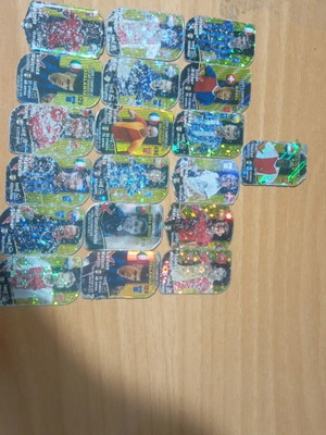 Extreme 2019 Season Tags