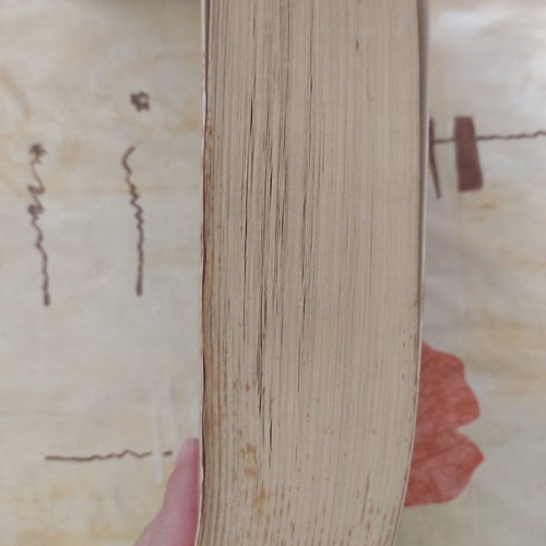Tigana fantasy book used, paperback