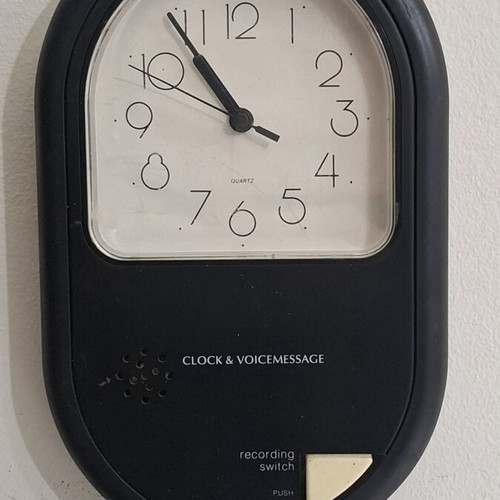 Twin Bird Clock & Voice Message wall clock like new, 1980s vintage