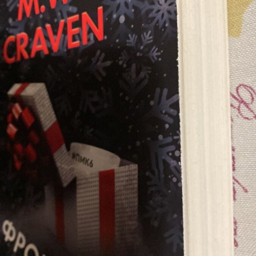 The Caretaker by M.W Craven used