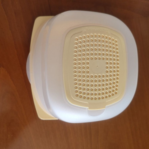 Mini Tupperware Cheese Container with Ventilated Lid, New