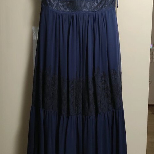 Cecilia Personal formal maxi dress like new, black and blue