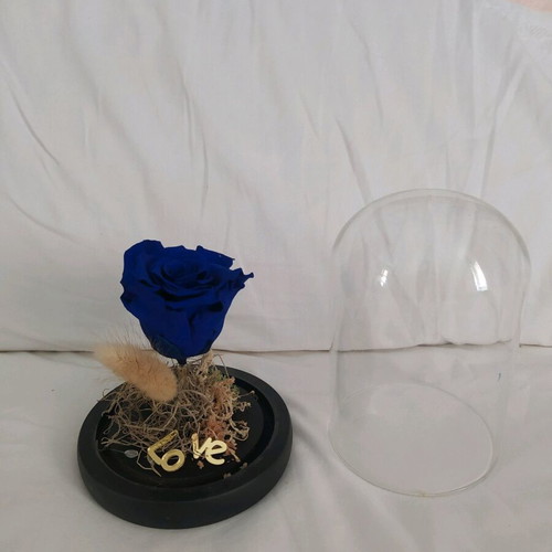 Natural rose used in glass dome