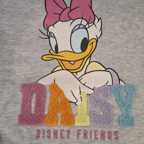 Disnef H&M sweatshirt 8-10 years girl grey with Daisy design used