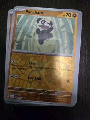 Pokemon card Pancham new