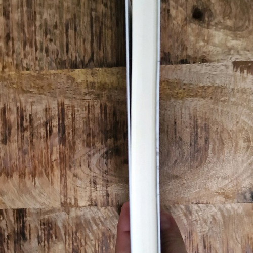 Novel book in excellent condition