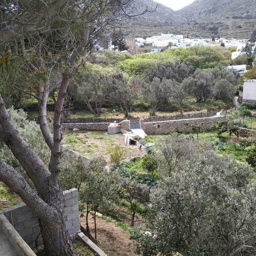 Plot of land with olive trees in village Kalloni, buildable, 255 m²