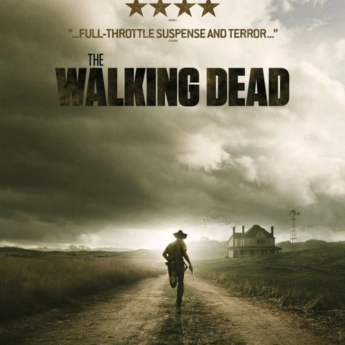 Walking Dead poster like new