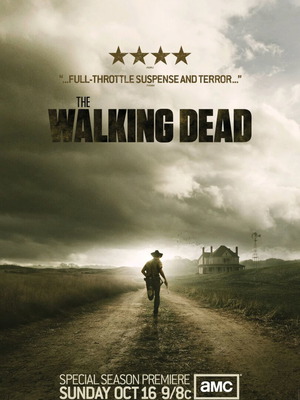 Walking Dead poster like new