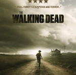 Walking Dead poster like new