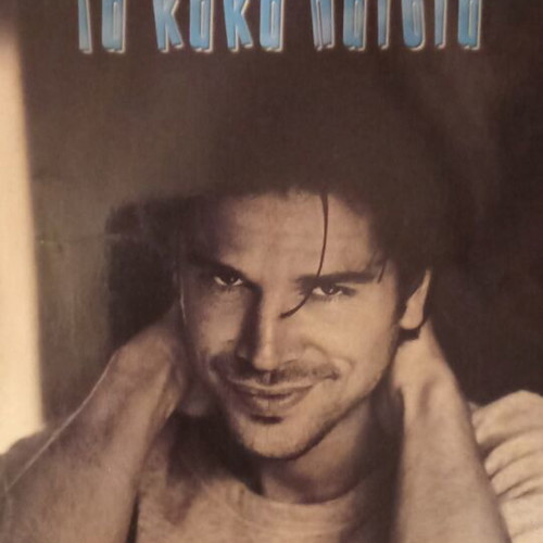 Olivia Goldsmith The Bad Boys book