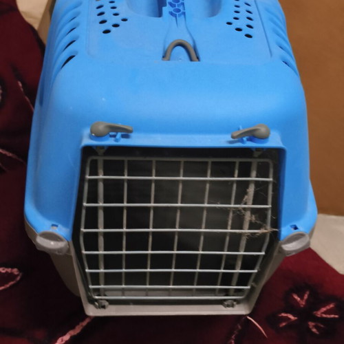 Cat or small dog transport carrier