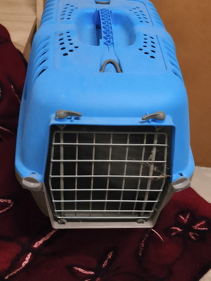 Cat or small dog transport carrier