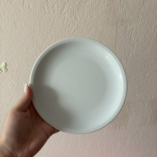 Rosenthal plates, new German brand