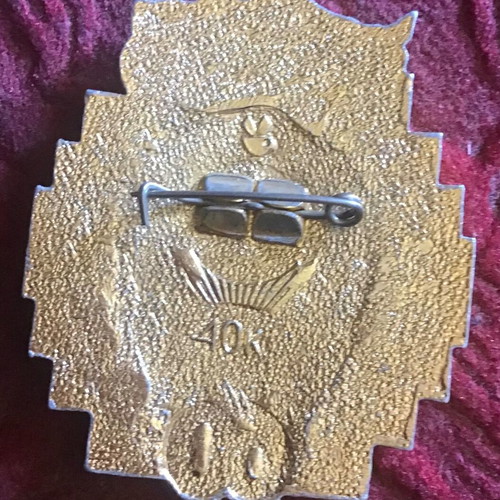 Lapel Pin like new