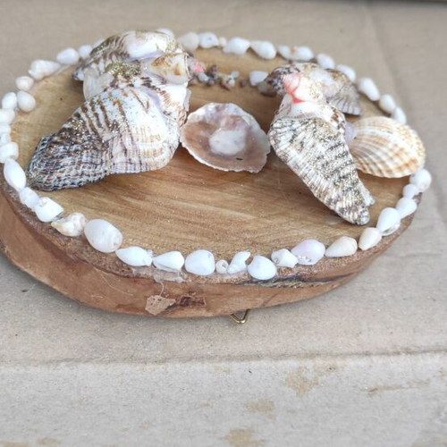 Small table decorations with seashells new