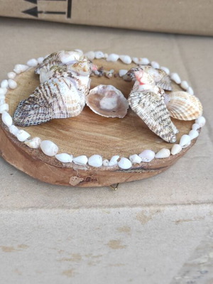 Small table decorations with seashells new