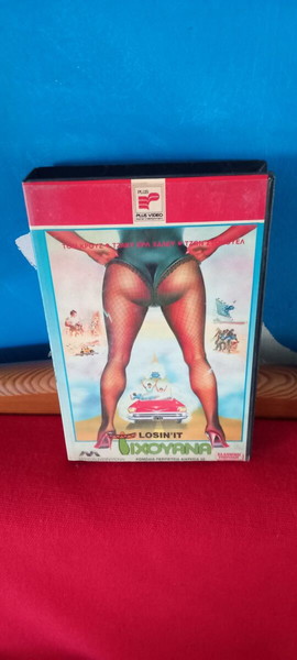  tichouana