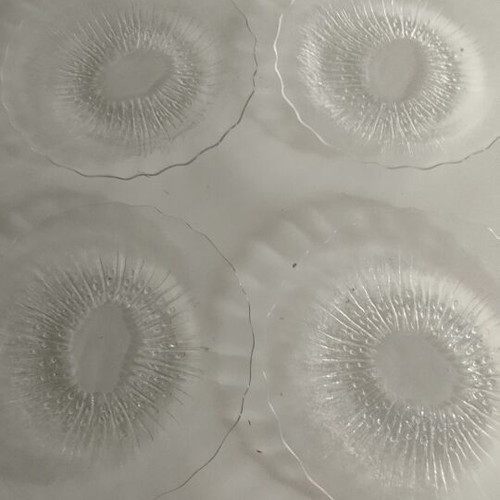Serving plates set of 5, new