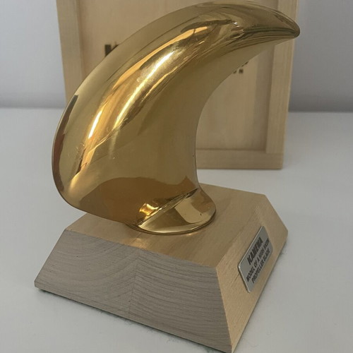 KAMEWA model of a high skew propeller blade