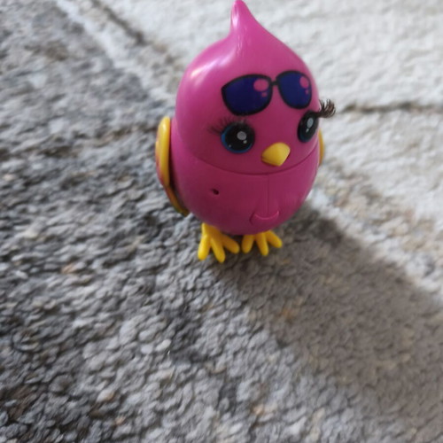 Little Live Pet Cocorito bird used interactive toy