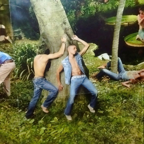 Diesel-Nature giant poster like new (1.40×1.00)