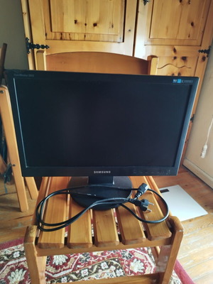 Samsung SyncMaster 2043SN 20-inch monitor used with screen burn