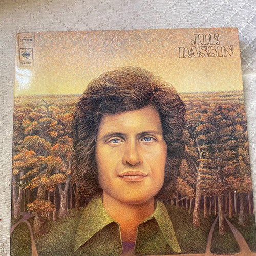 Joe Dassin Le jardin du Luxembourg vinyl record used