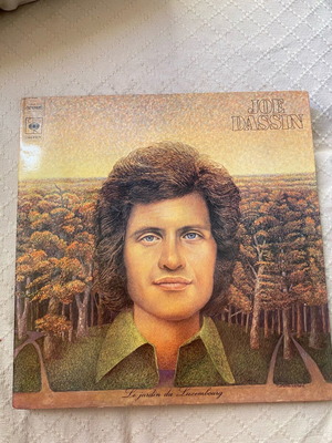 Joe Dassin Le jardin du Luxembourg vinyl record used