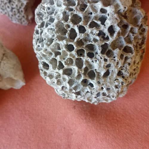 Set of 3 Authentic Marine Decor Corals