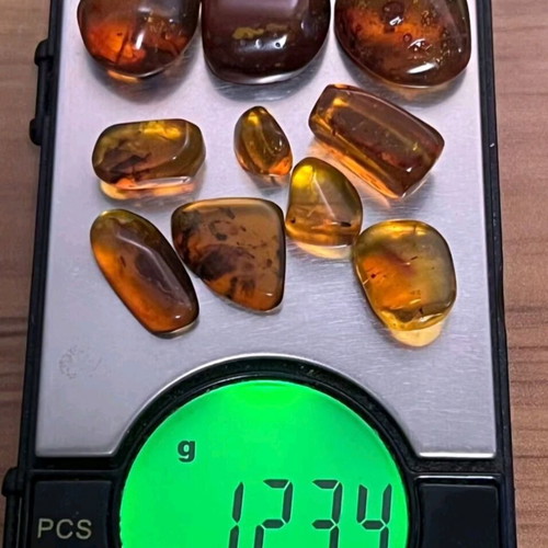 Amber pieces new, pack of 10 with fossilized insects and leaves