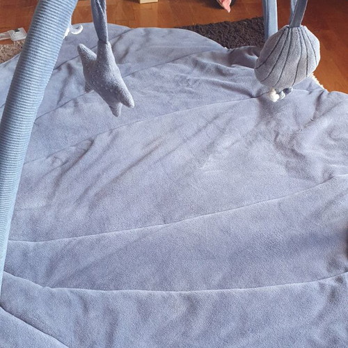 Little Dutch baby gym like new