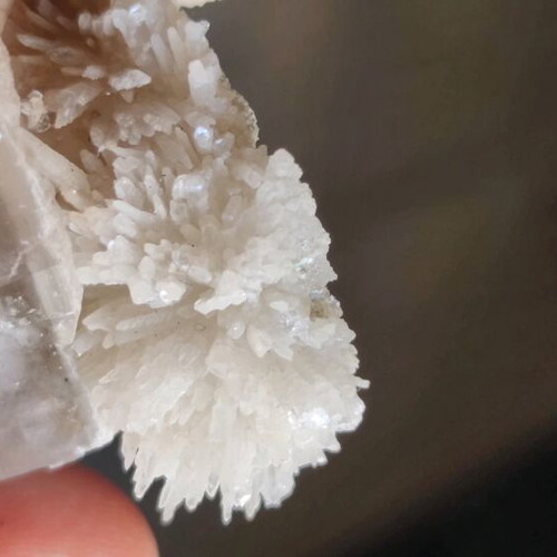 Asvestitis new, Greek specimen for collection