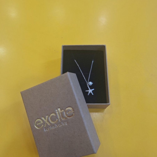 Excite-Fashion summer hypoallergenic silver necklace new