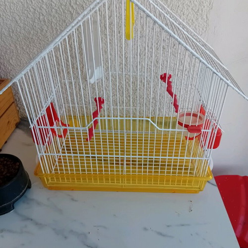 Bird Cage like new