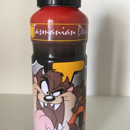Thermos collectible used over 30 years old