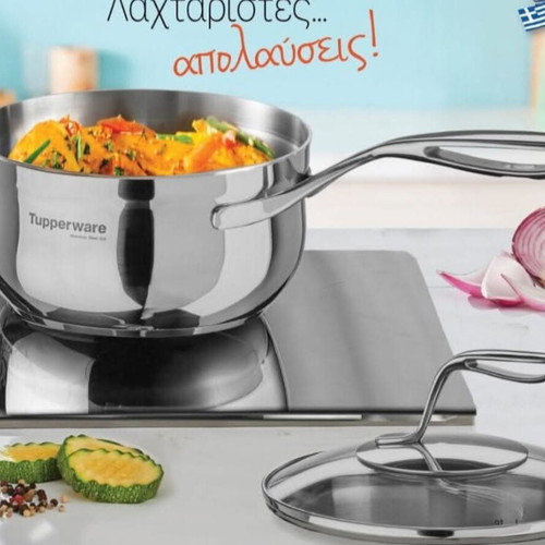Mastro Tupperware 2.8L Stainless Steel Pot new