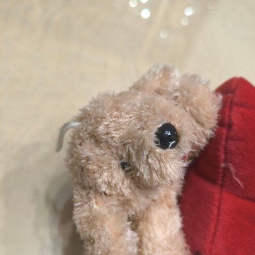 Plush bear with red heart "I love you" like new