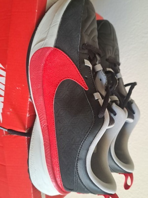 Nike αθλητικά παπούτσια συλλεκτικά Αντετοκούνμπο, σαν καινούργια, νούμερο 39