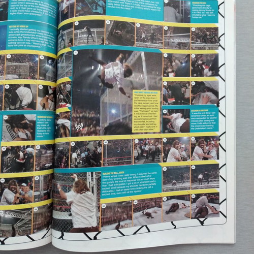 WWE Magazine July 2008 Retro Pro-Wrestling Used