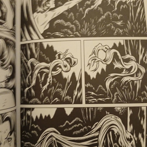 Black Hole graphic novel by Charles Burns like new, Zoobus edition