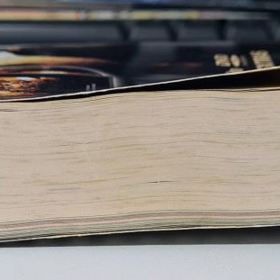 DVD Guide 2006 used from Hitech magazine, 946 pages