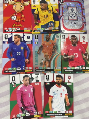 FIFA World Cup 2026 stickers new