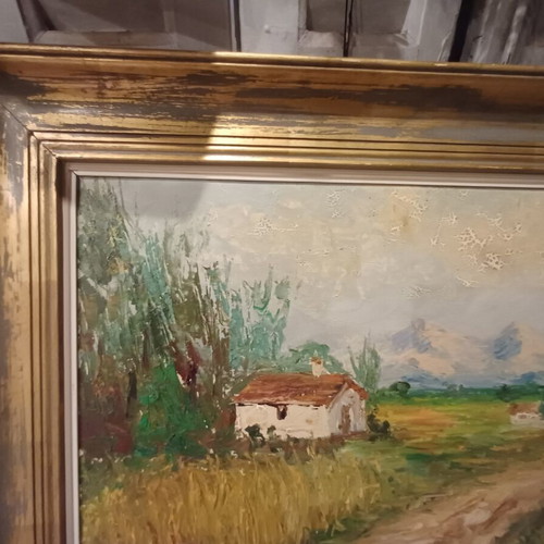 Oil painting with spatula 0.90x0.60