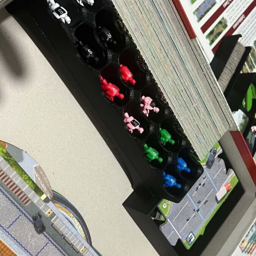 Flamme Rouge 3D printed insert for board game, custom order