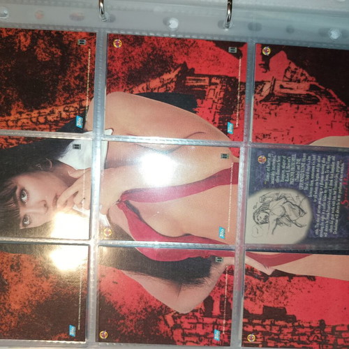 Vampirella 1995 Topps Cards like new, lot of 65