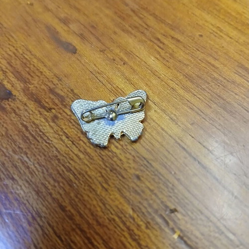 Butterfly brooch used with enamel in gold color